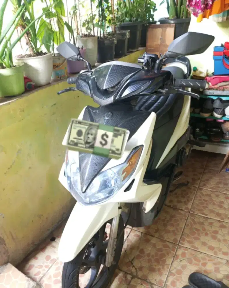 Xeon karbu 2012 SS komplit