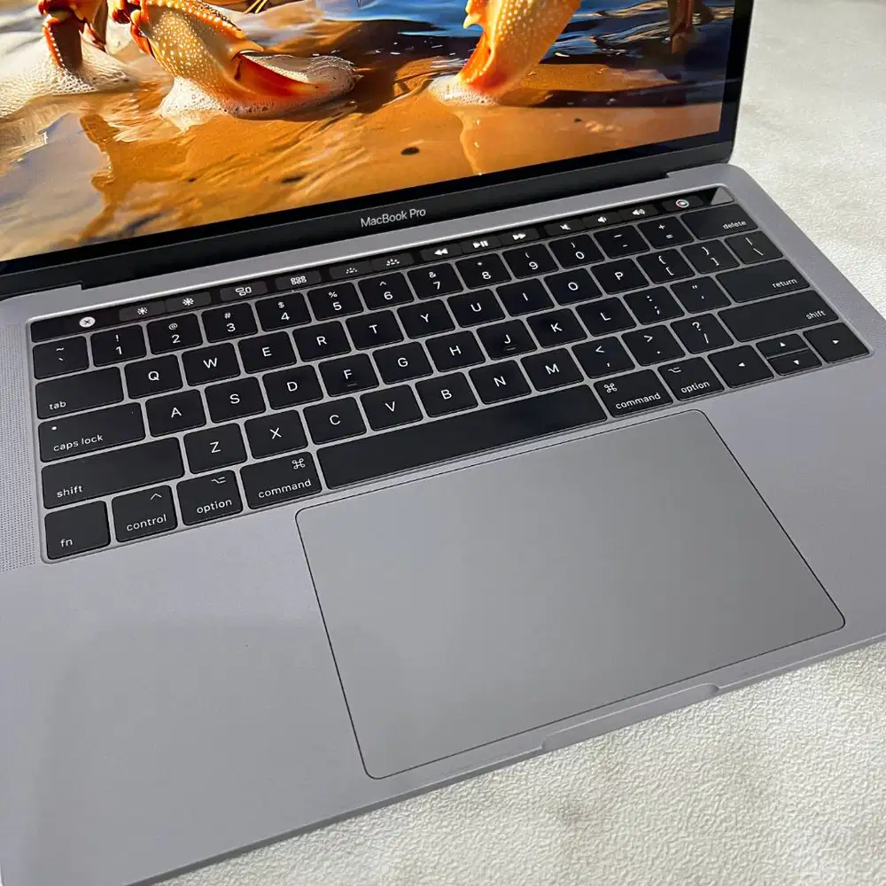 MacBook Pro 13 inch 2017 Touchbar i5 RAM 16GB SSD 512GB