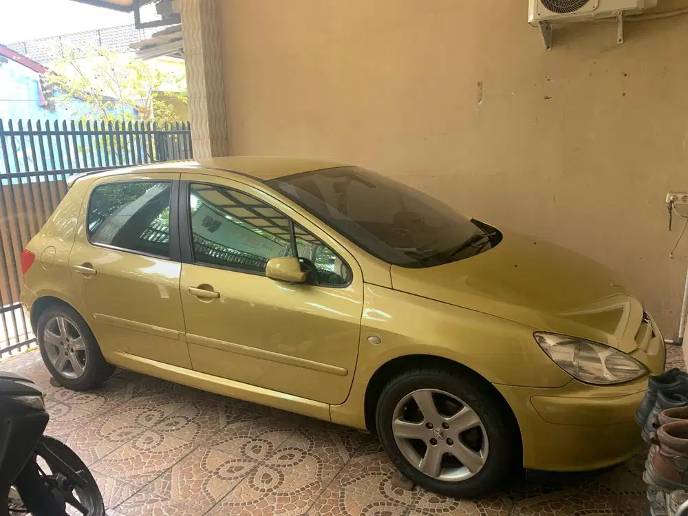 Peugeot 307 2002 Bensin