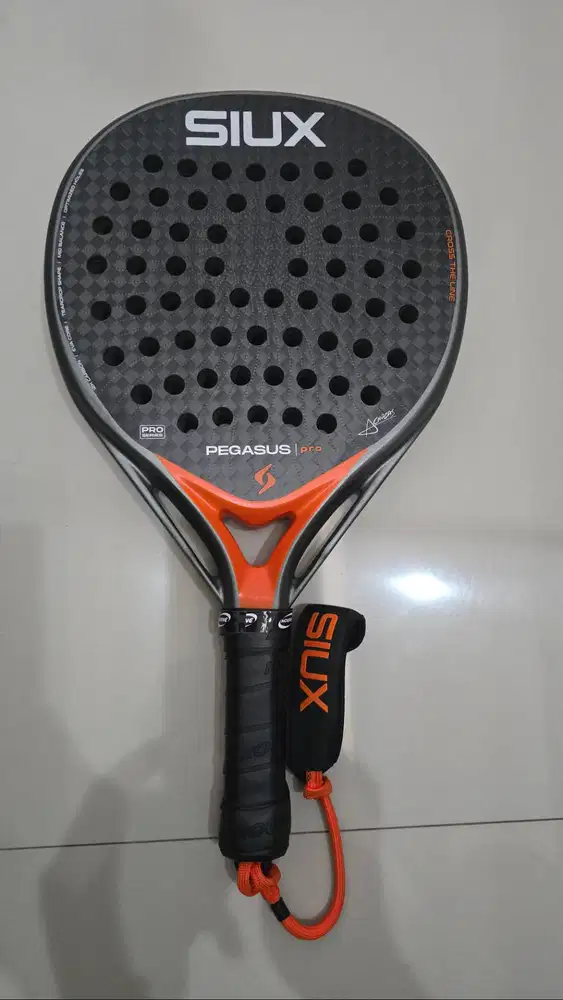 Siux Pegasus Pro 2026