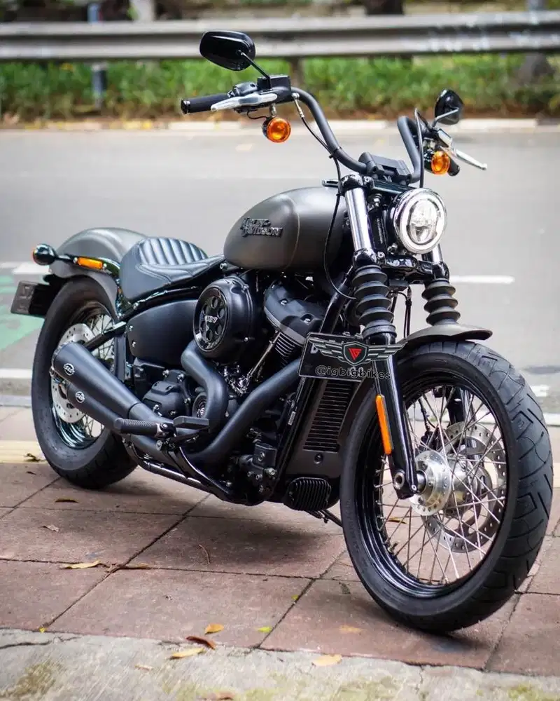 Harley Street Bob 2019 Full Paper