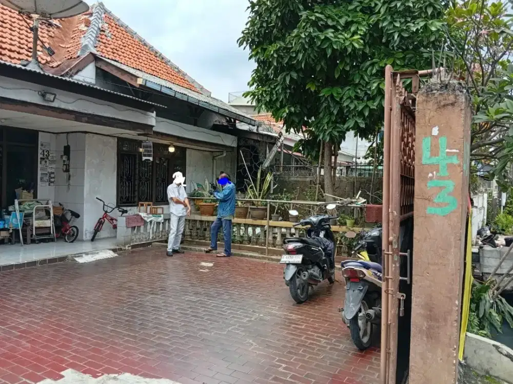 Rumah Dijual /Sewa di Petojo Utara, Kecamatan Gambir, Kota Jakarta Pusat S264