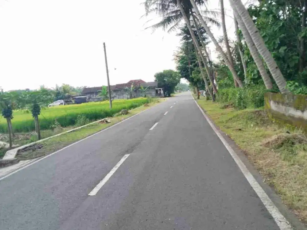 Dijual Tanah Strategis Tepi Jalan Raya Di sleman Barat Yogyakarta