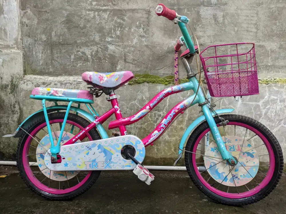 Sepeda anak perempuan uk 16