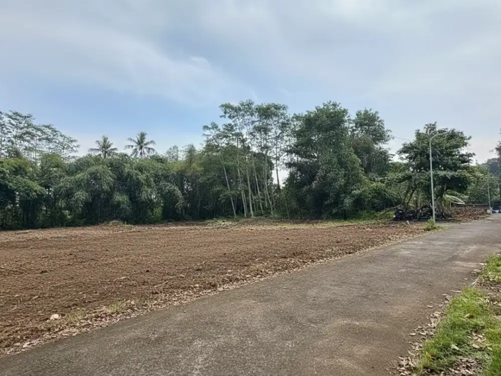 Tanah Pekarangan Tridadi Sleman Selatan Kantor BPN - Sertifikat Ready Siap AJB