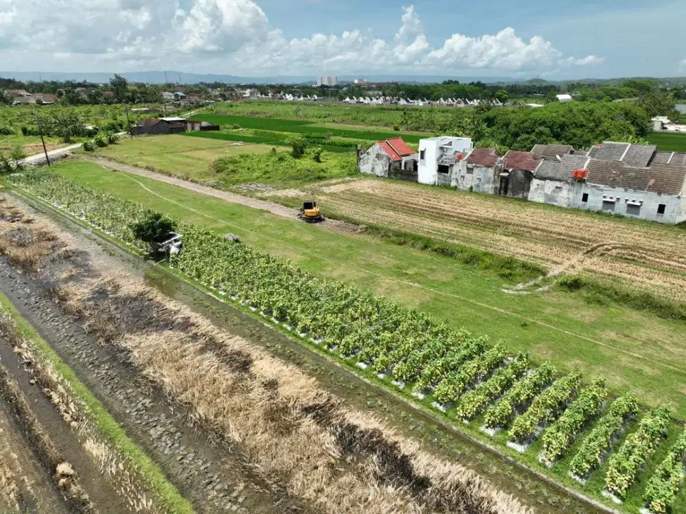 Utara RS PKU Gamping Tanah Godean - Cicilan 0 %