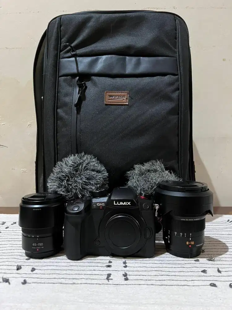 Lumix GH5 II + 45-150mm Kit Lens + 8-18mm Leica Wide Zoom Lens