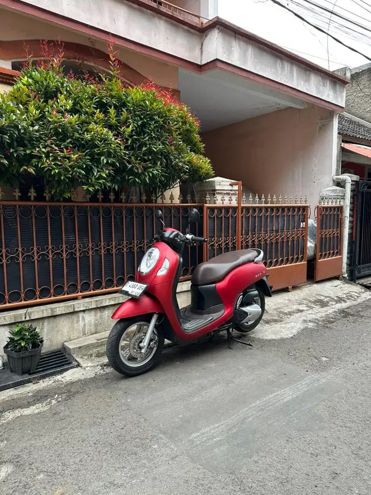 Scoopy Keyless 2023