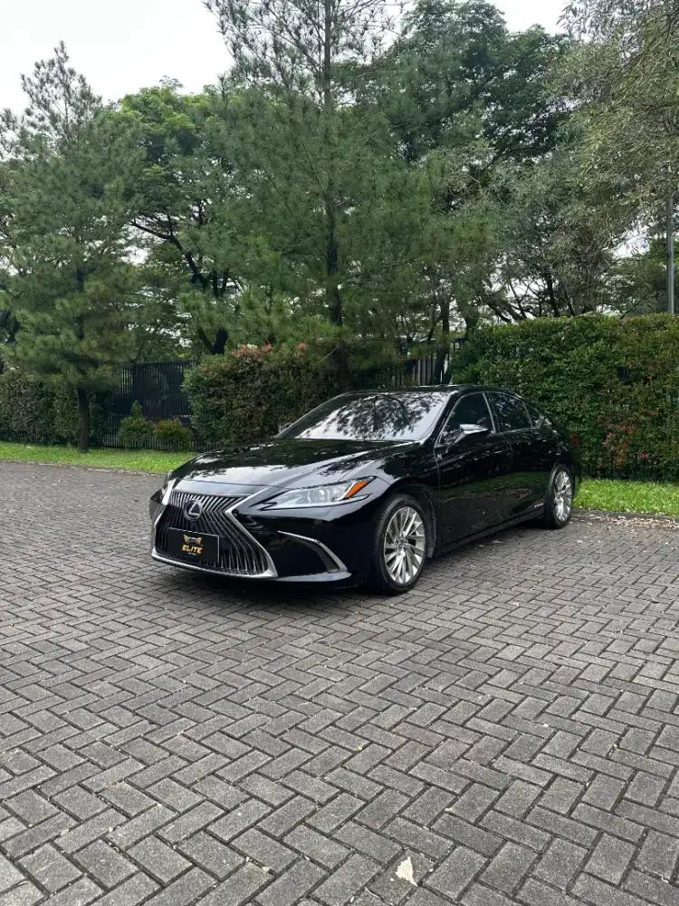 Lexus ES300h Ultra Luxury Sedan 2021