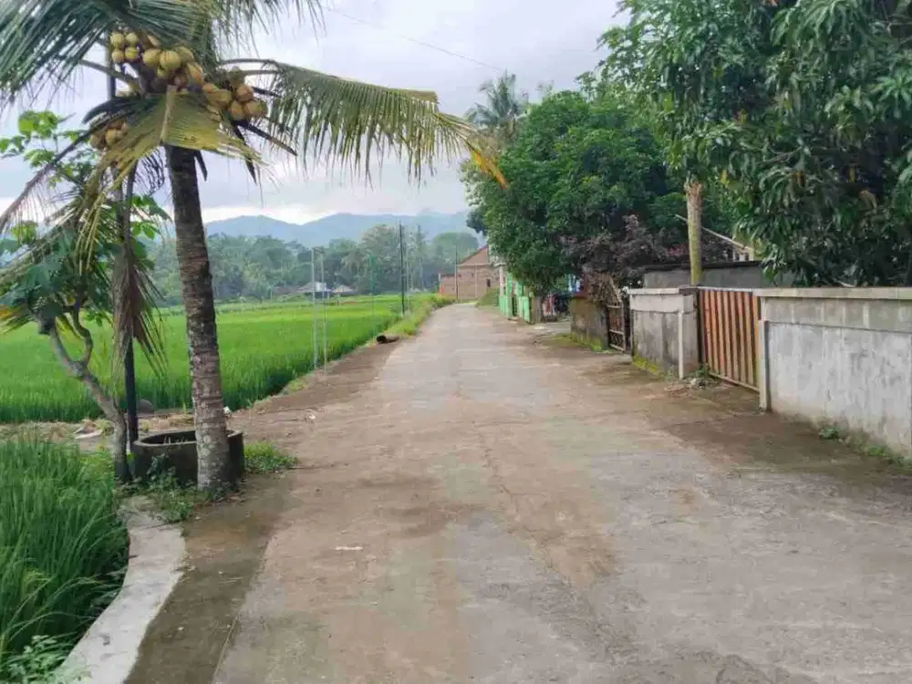 Dijual Tanah View Menoreh Sleman Barat Yogyakarta