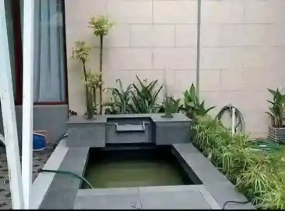 Kolam ikan minimalis
