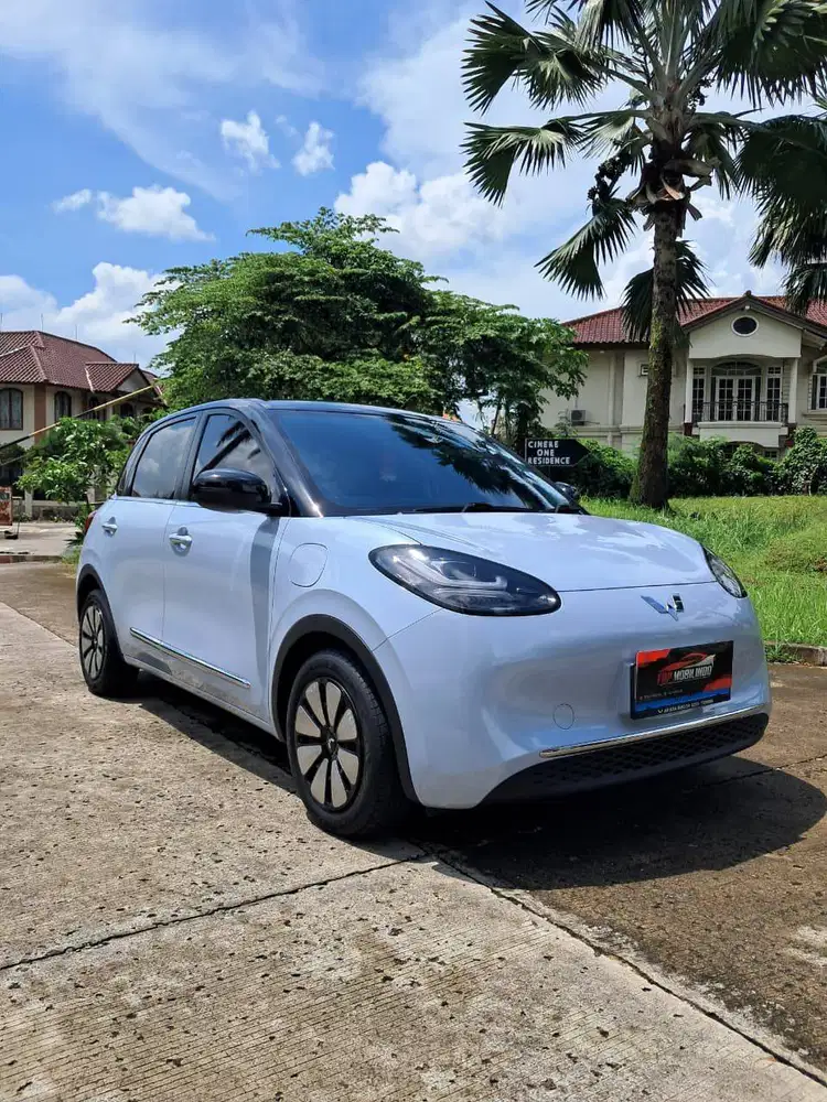 Wuling BinguoEV Long Range 410km 2024