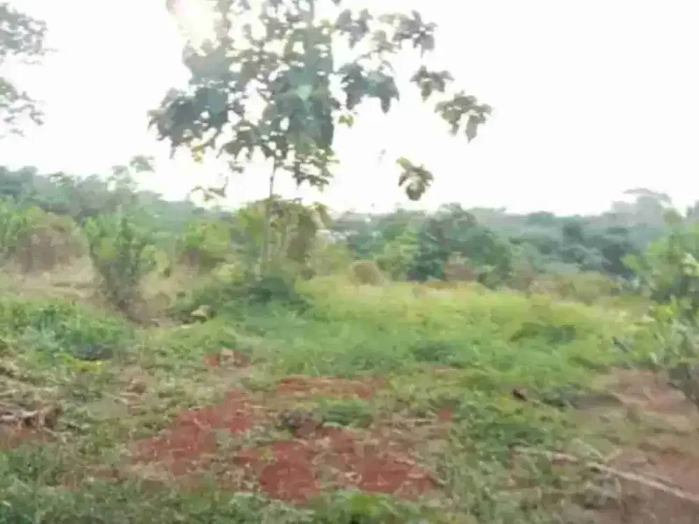 Kebun 3400 m2 HANYA 100rb/m2 Subang JABAR