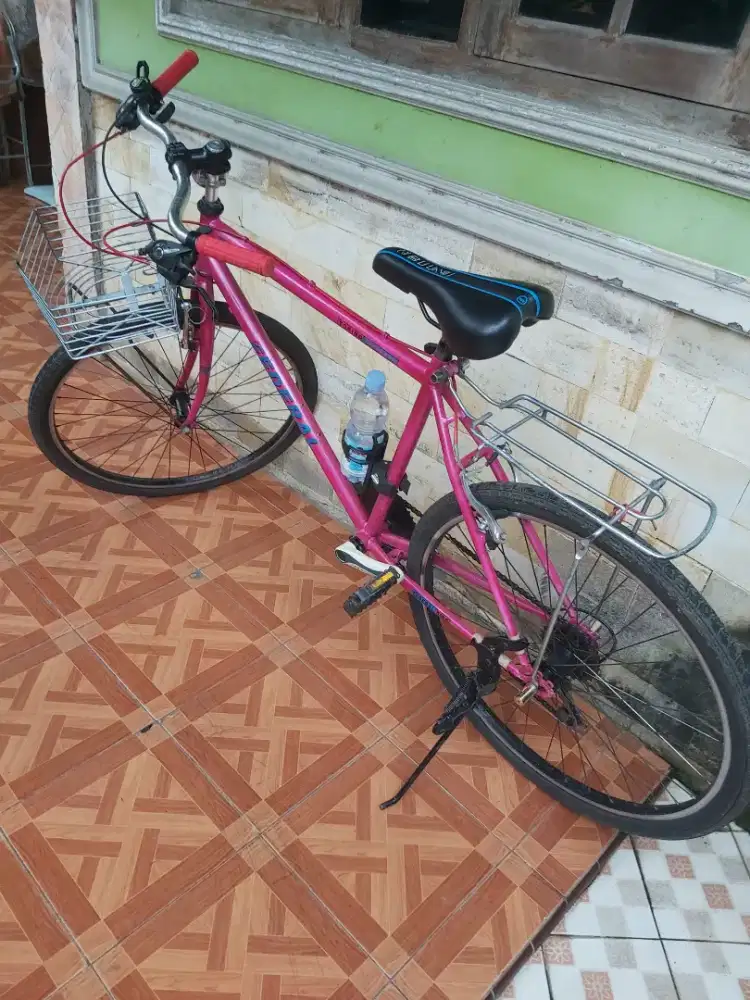 Sepeda Commuter modif repaint (no seri rangka ada)