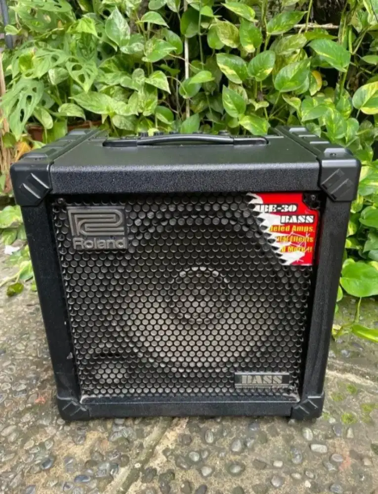 Roland Cube 30 Bass 30 watt  1x10 Bass Combo