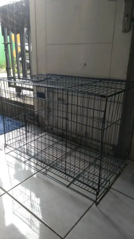 Di jual kandang kucing