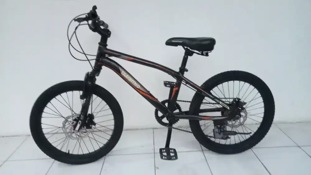 Tabibhito 20 MTB Sepeda anak cakram bekas bagus