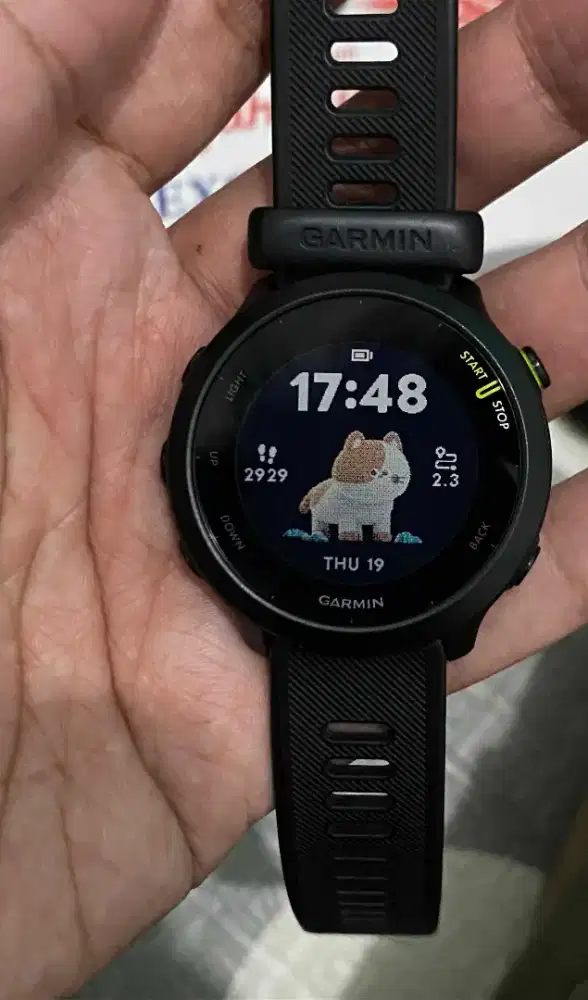 Garmin Forerunner 55 Black