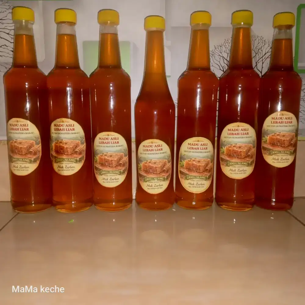 Madu asli Lebah Liar