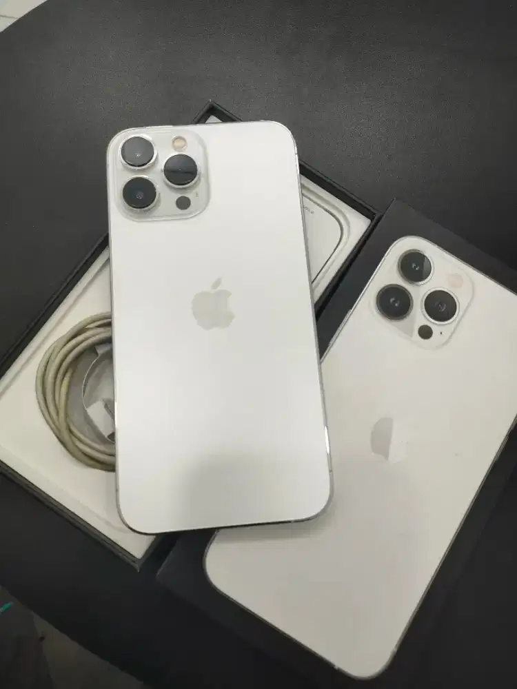 Jual Ip13 Pro Max 256GB Silver IBox