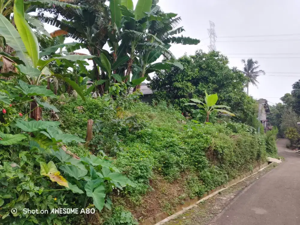 TANAH UNGARAN SEMARANG JUAL CEPAT (Tanpa Perantara)
