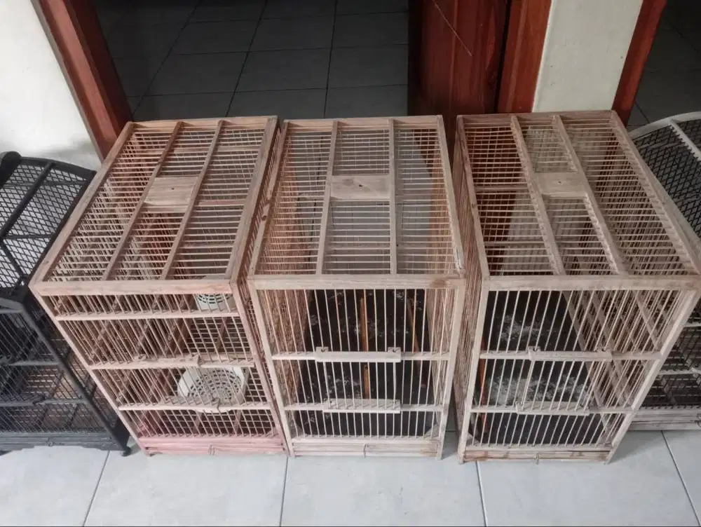Sangkar bekas kenari