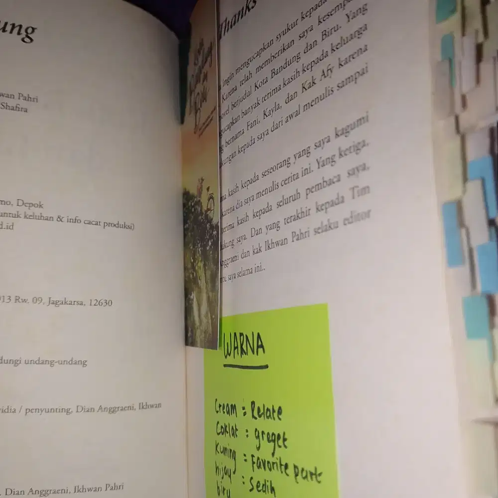 Buku Novel Kota Bandung & Biru