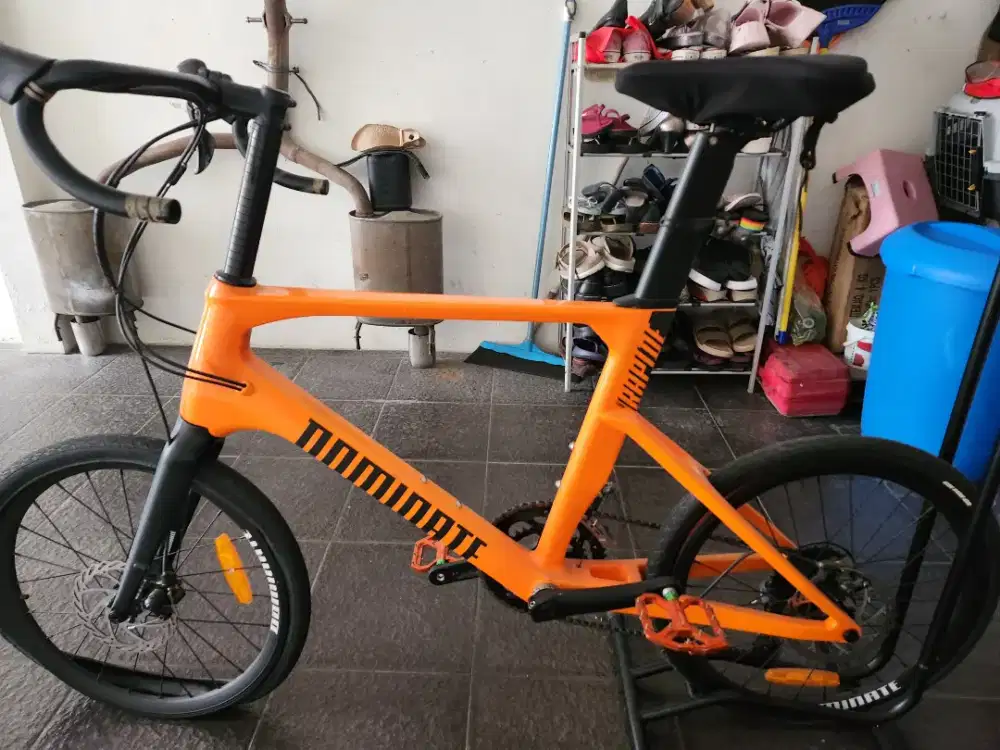 Sepeda minivelo dominate 20 inch carbon