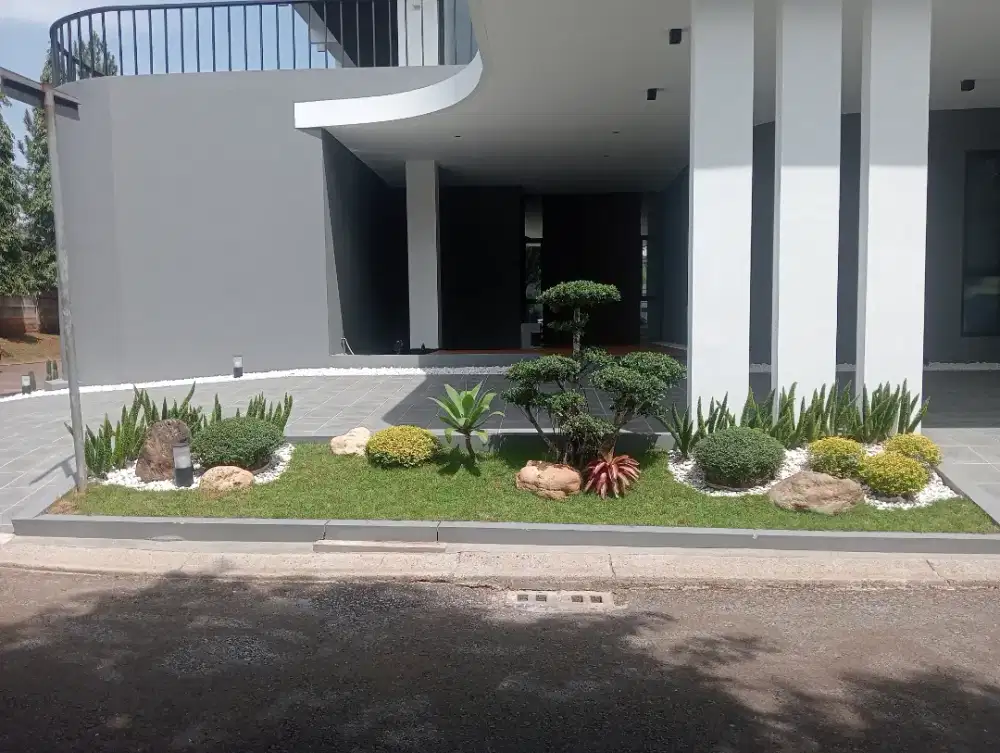 Jual tanaman hias buat taman/buat taman kering