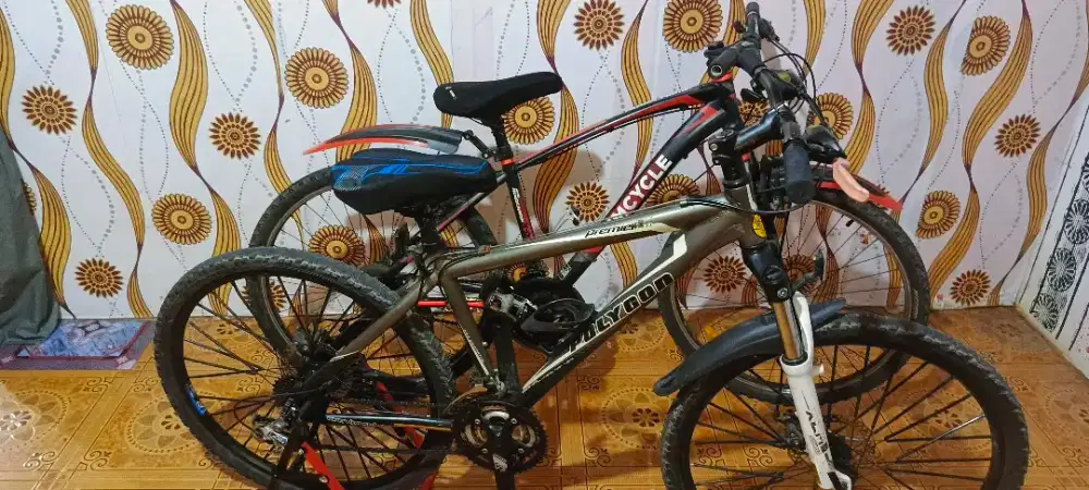 sepeda polygon san wimcycle