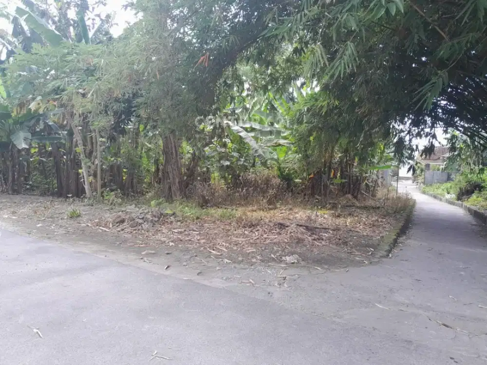 Tanah Di Berbah Dekat Bandara Adisucipto  Untuk Hunian Dan Kos