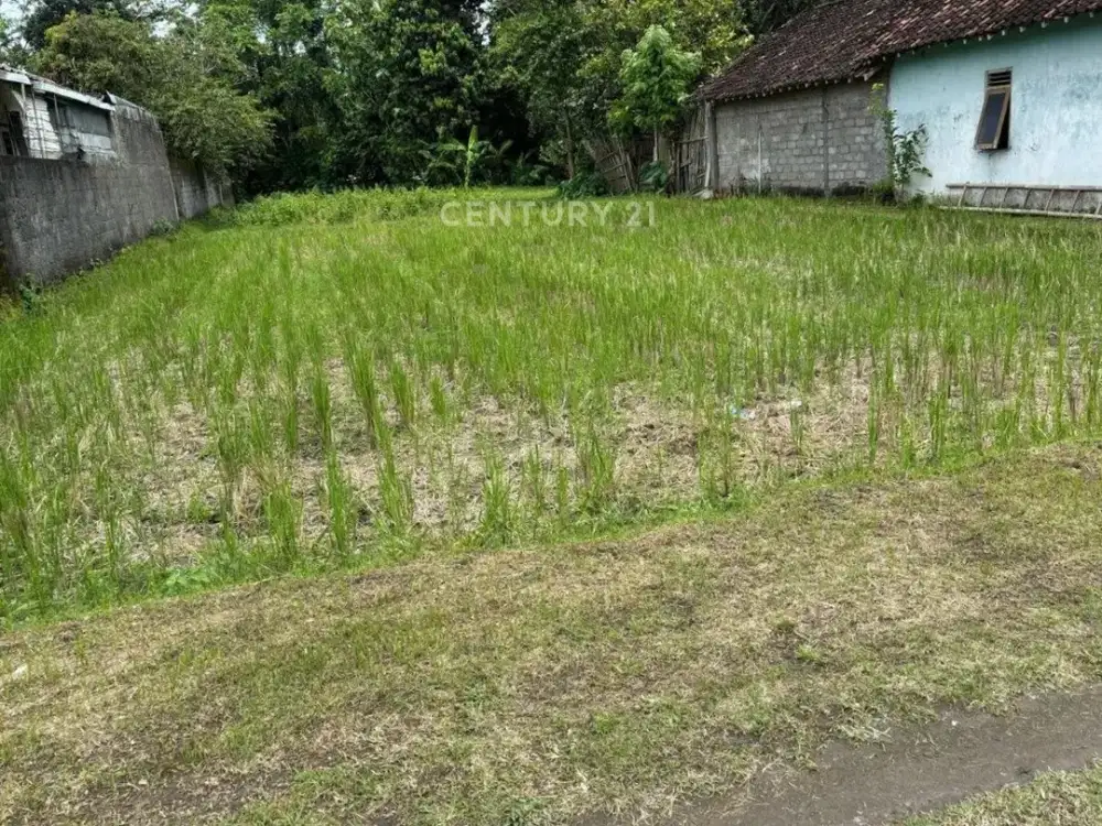 Tanah Luas 895m2 Dekat Wisata Candi Prambanan Cocok Untk Villa