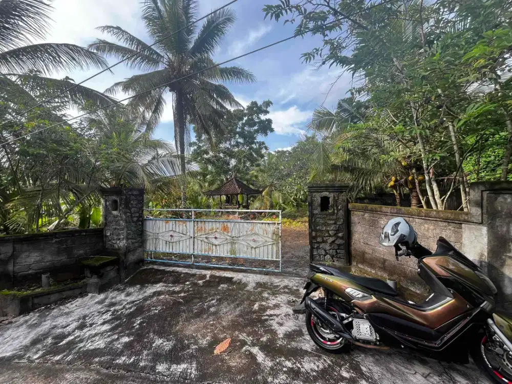 Dijual Lokasi Dekat Pantai View Sawah Los Sungai Di Tabanan Bali