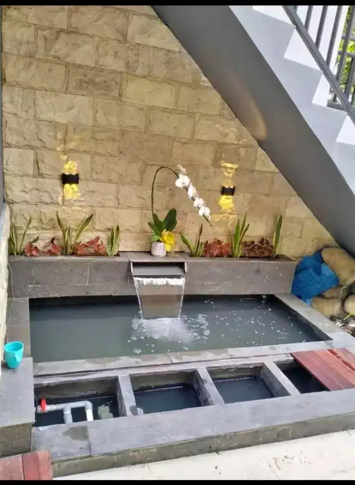 Kolam ikan minimalis