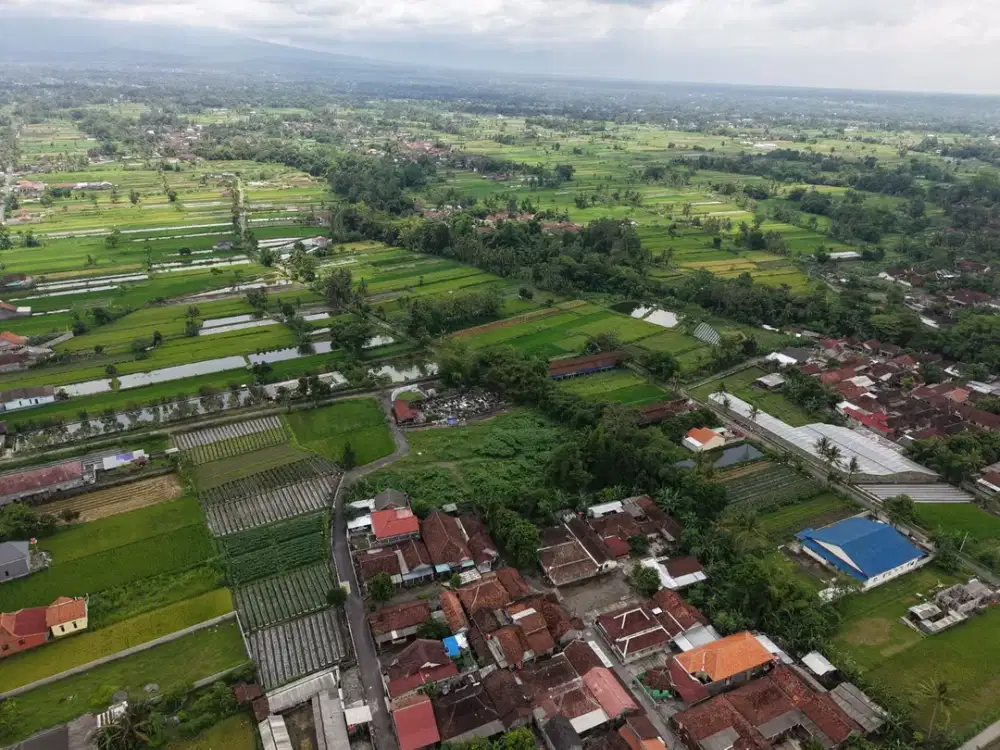 Tanah Sleman Timur, 5 Menit Exit Tol Kalasan Cocok untuk dijadikan hunian & investasi