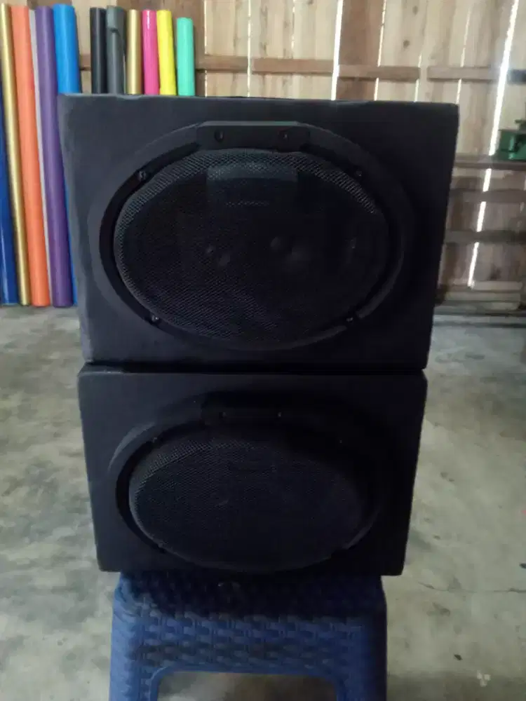 Speaker Oval Audio Phile