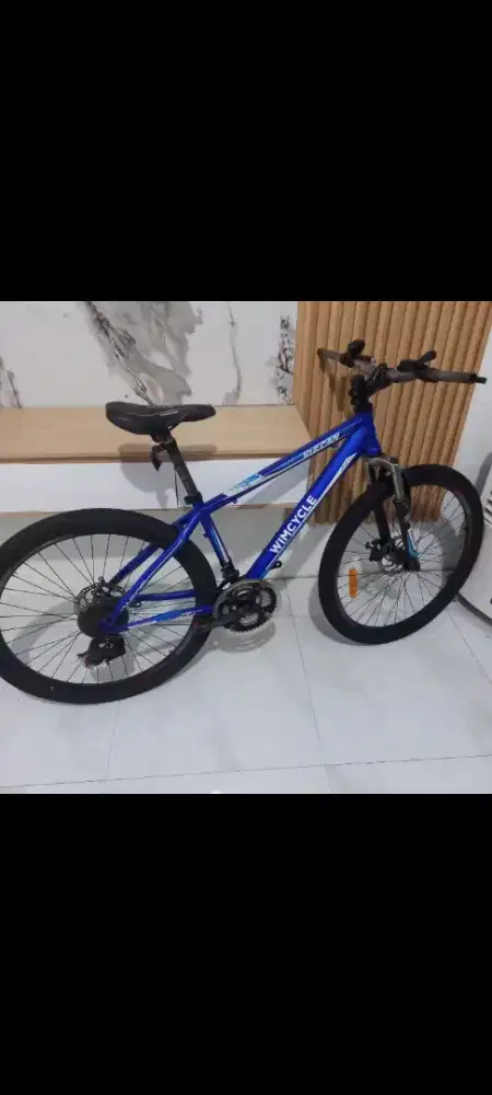 Commuter Bike Wimcycle