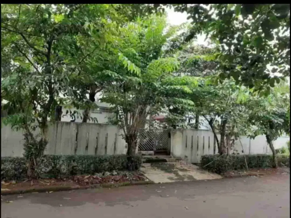 Rumah  halaman luas dan kolam renang di Bintaro sektor 2