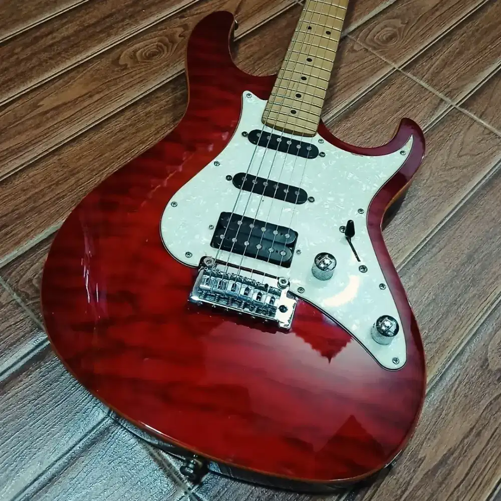 Gitar Cort G250DX