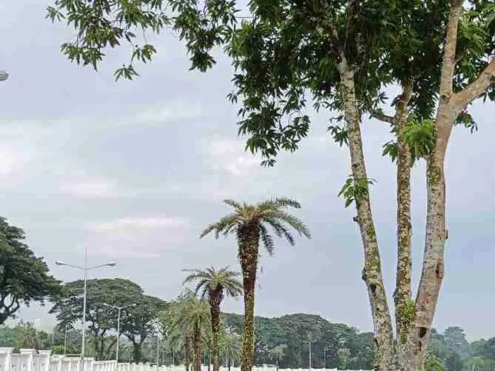 KAVLING CANTIK HADAP LAPANGAN GOLF DI GADING SERPONG