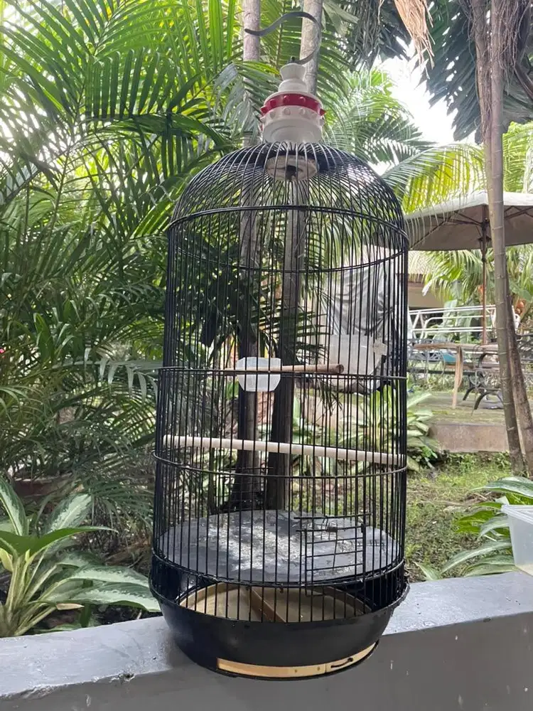 Kandang burung uk besar ada 2