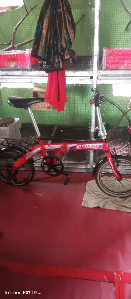 jadiin burung kenari sepasang