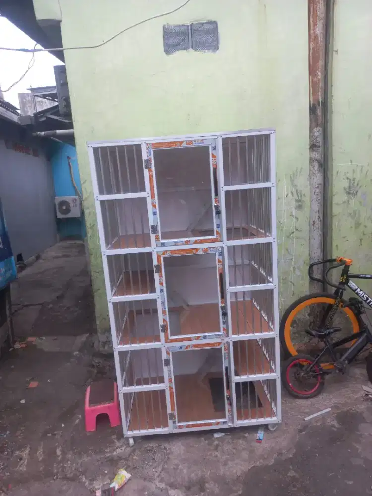 Kandang kucing Jon