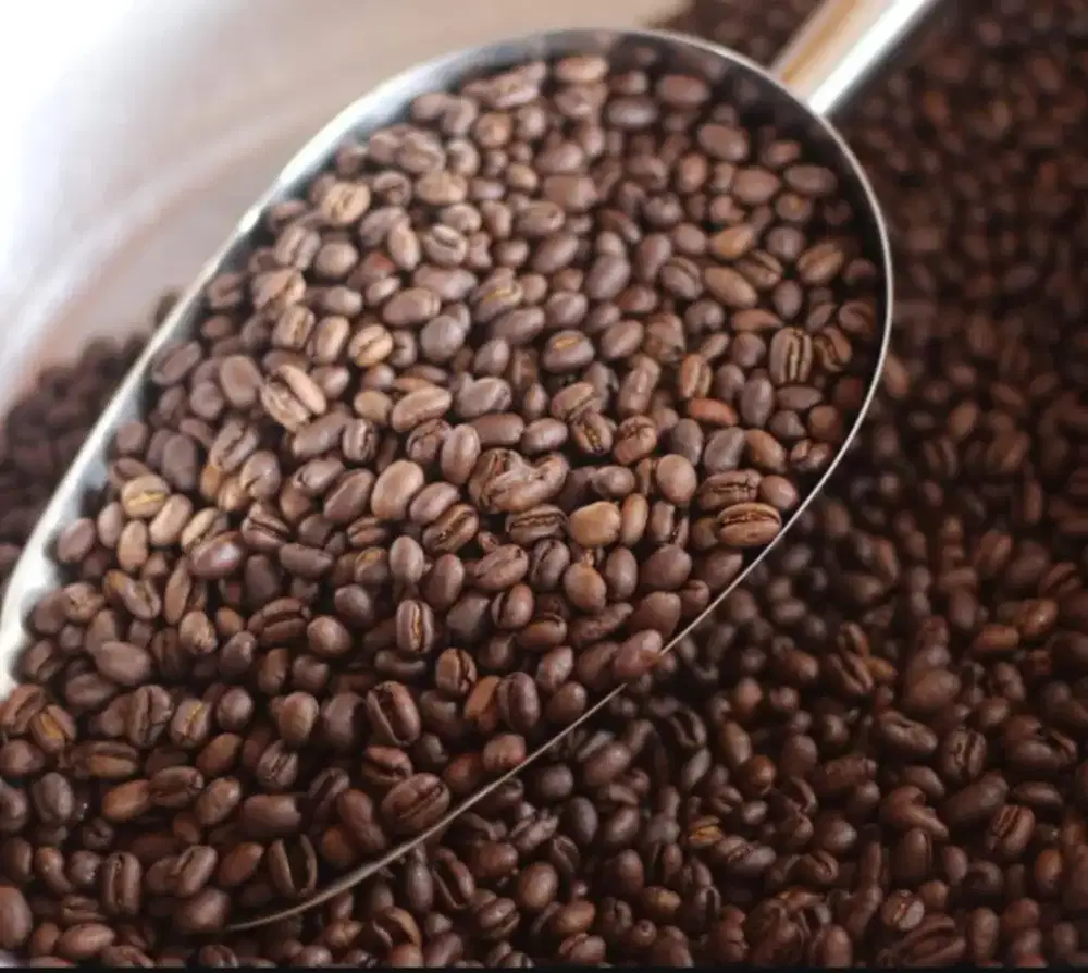 dibutuhkan karyawan laundry secepatnya!!