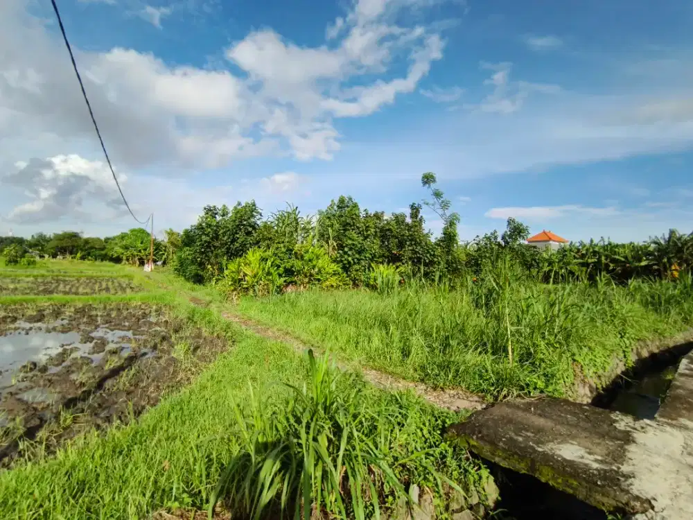 Dijual tanah 3 are, Sekar Jepun, Denpasar Timur
