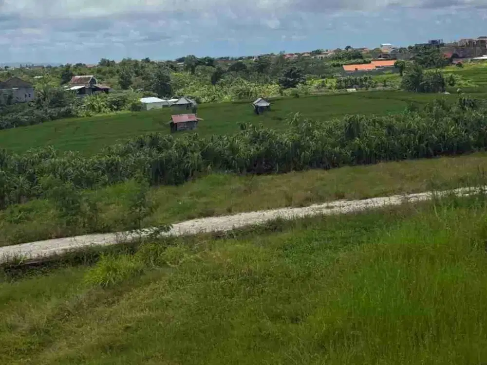Tanah overleased zona pemukiman tibubeneg canggu bali