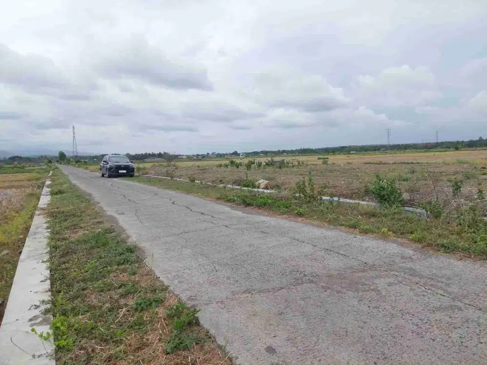 Tanah Hook SHM 1200m2 LD 50 View Sawah, Istimewa