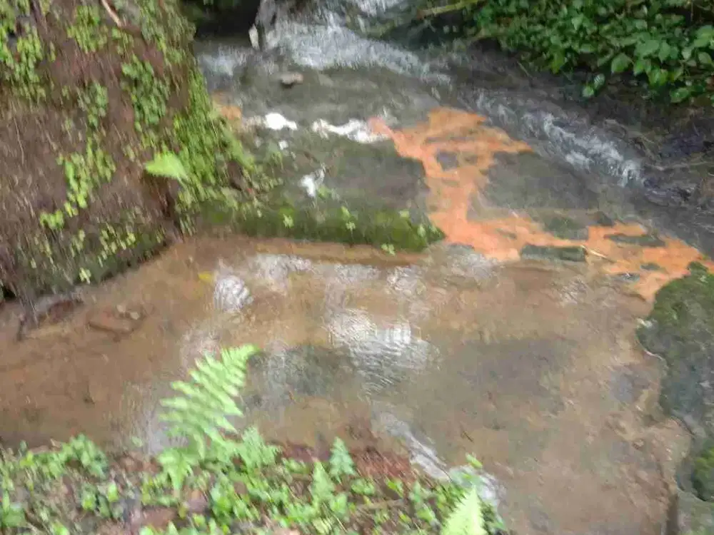 jual tanah murah di tabanan luas 41 are harga 35 jt/ are isi air panas