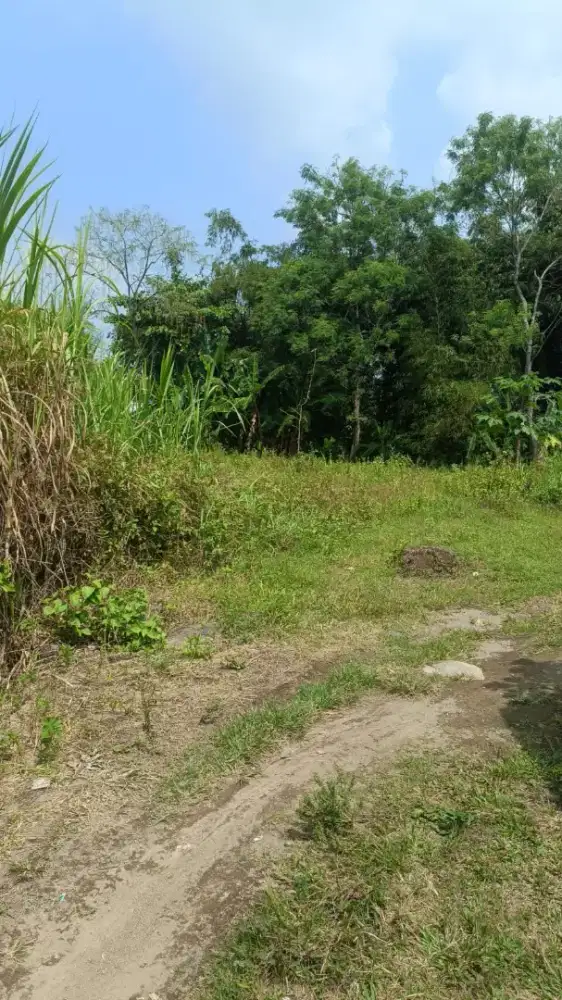 Tanah dekat sungai di dekat ke pasar rejondani palagan KM 11 Sleman