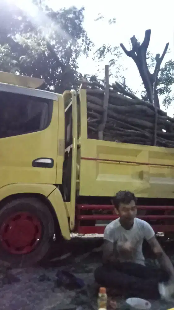 Jasa penebang pohon siap membantu anda